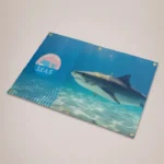 Anniversary Backdrops: Printed banner with a sea photo laid flat, showing the eyelets