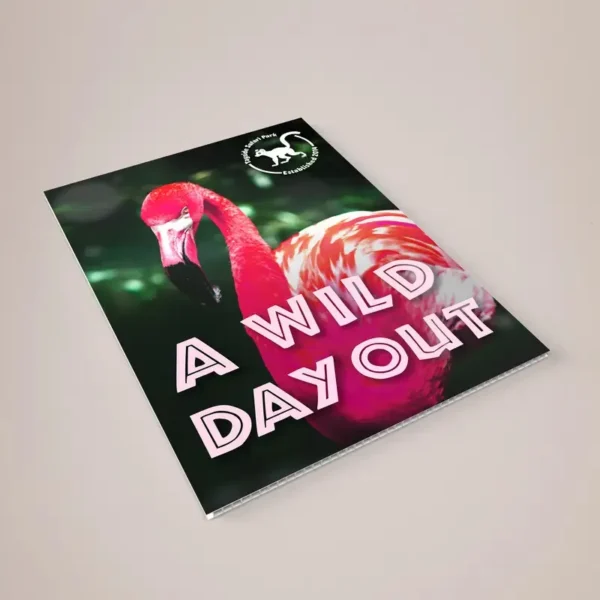 Correx Poster Boards